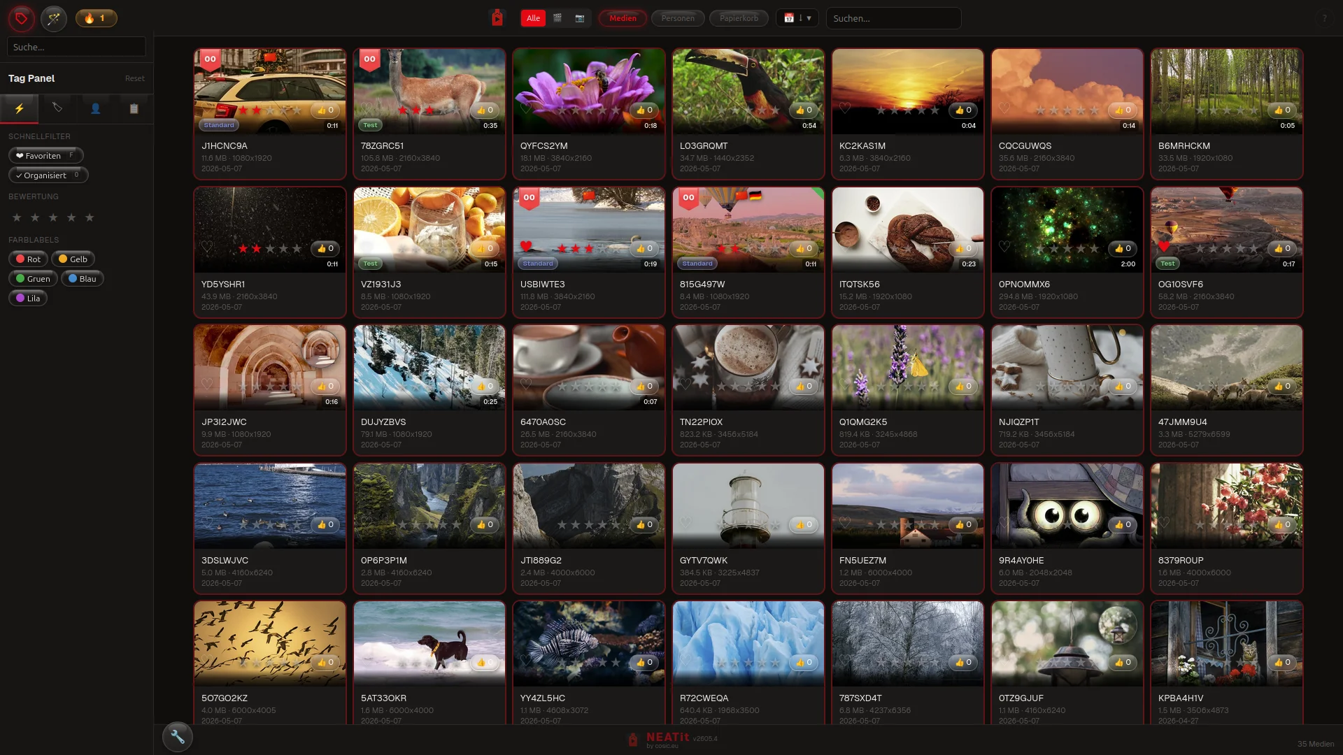 Medien-Grid – Thumbnails mit Tags, Bewertungen & Farblabels